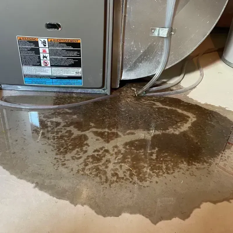 Appliance Leak Cleanup in Jackson, KY